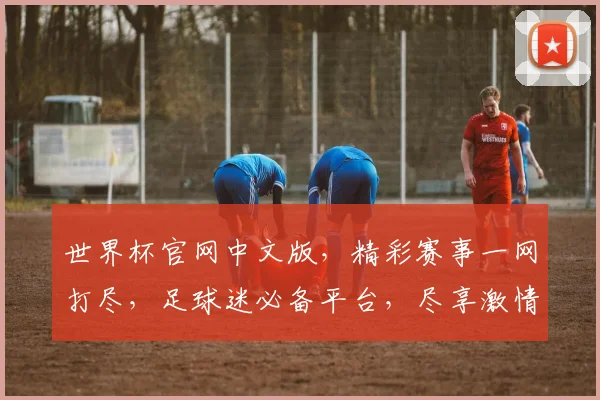 世界杯官网中文版，精彩赛事一网打尽，足球迷必备平台，尽享激情盛宴