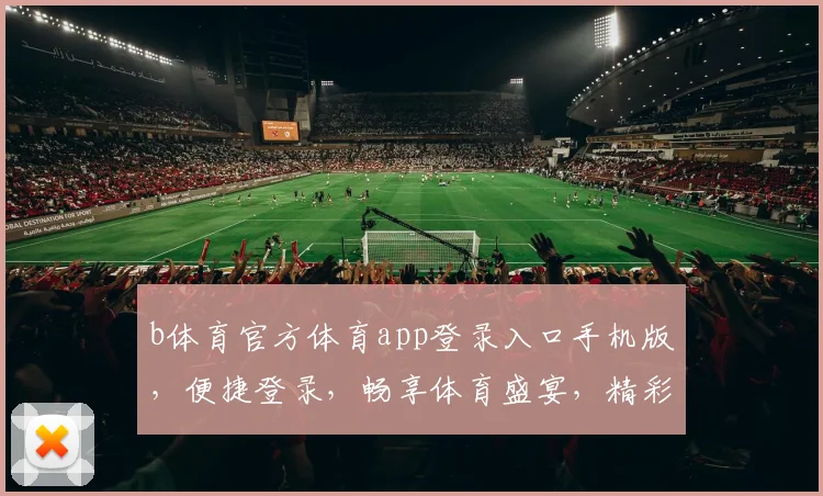 b体育官方体育app登录入口手机版，便捷登录，畅享体育盛宴，精彩不断