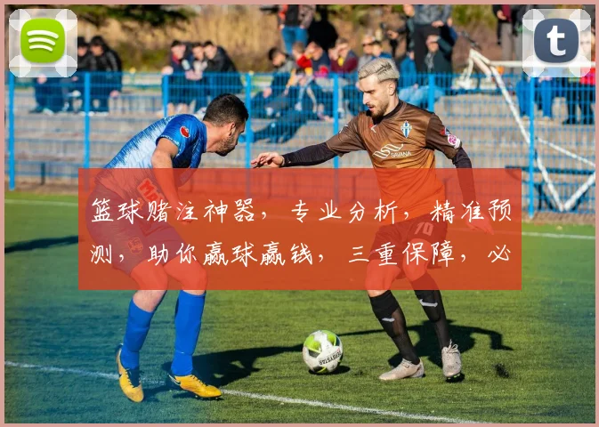 篮球赌注神器，专业分析，精准预测，助你赢球赢钱，三重保障，必看攻略